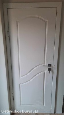 Dažytos šarvuotos durys